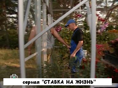 сериал СТАВКА НА ЖИЗНЬ (электрик)